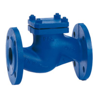 manufacturers for chemicals check valve